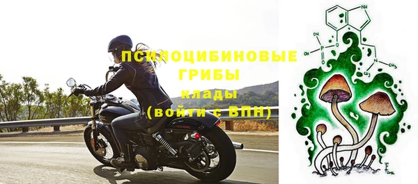 стафф Киреевск