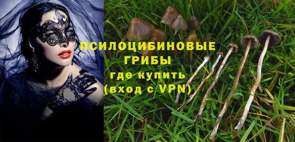 стафф Киреевск